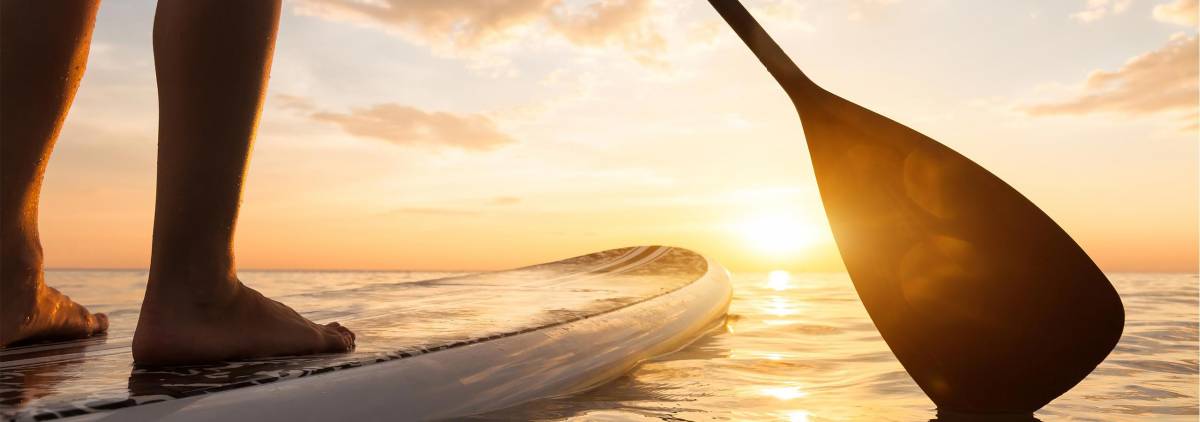 things to do on anna maria island activities