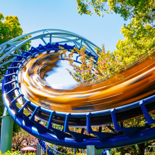 bush gardens roller coaster