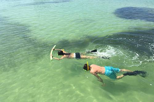 egmont key adventures snorkeling sightseeing around anna maria island