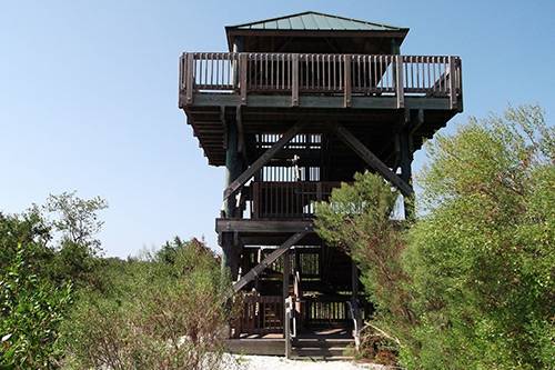 parks and preserves near anna maria island neal preserve