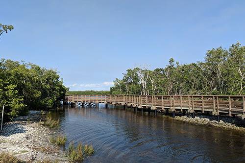 perico preserve near anna maria island trails