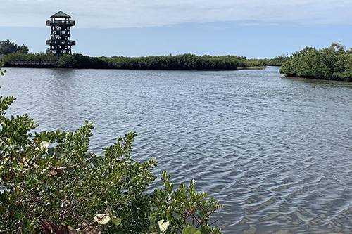 robinson preserve near anna maria island bike and kayak trails